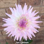 Jan Lennon