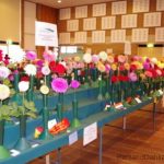 Dahlia & Rose Show