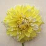 lemon-snow